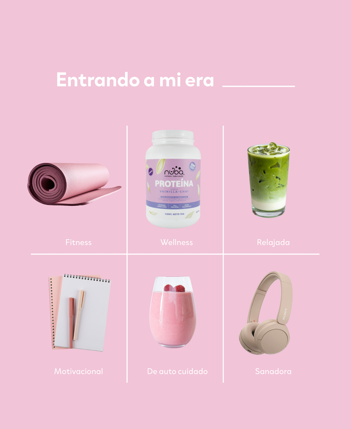 Proteina de Suero de Leche, 500g, 18 Servicios, 18g Por Servicio, Sabor Chai Vainilla